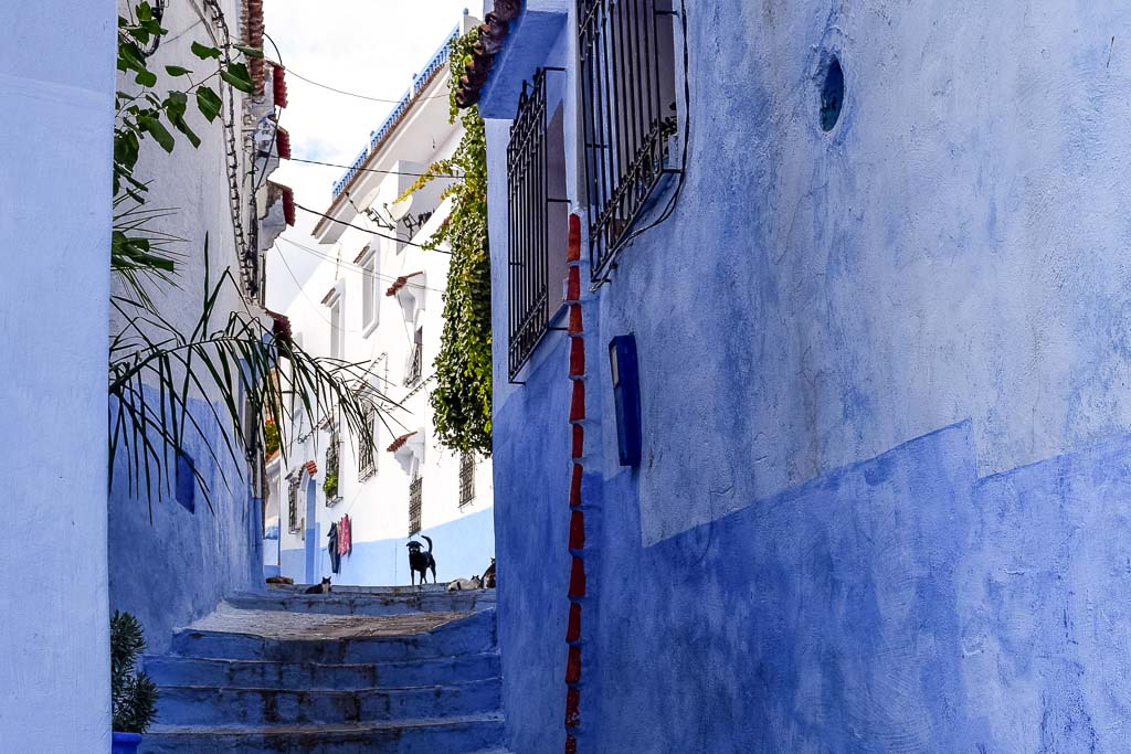 Chefchaouen Blue City Morocco