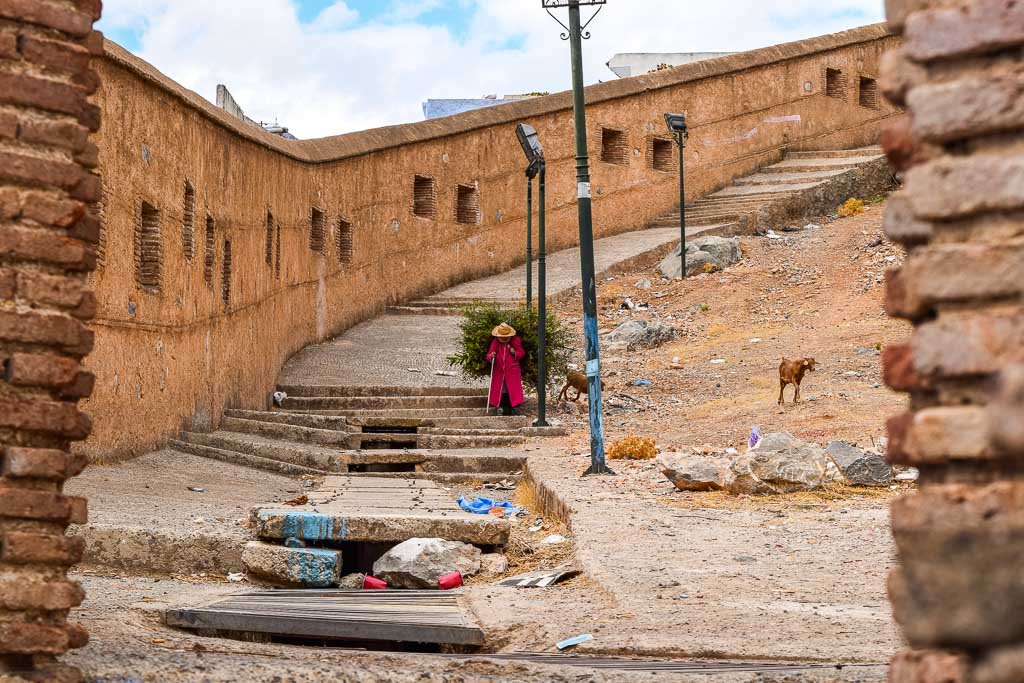 Morocco woman goats portrait