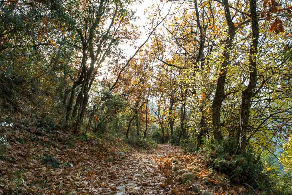 Greece in Autumn, Sightseeing Nature Walks