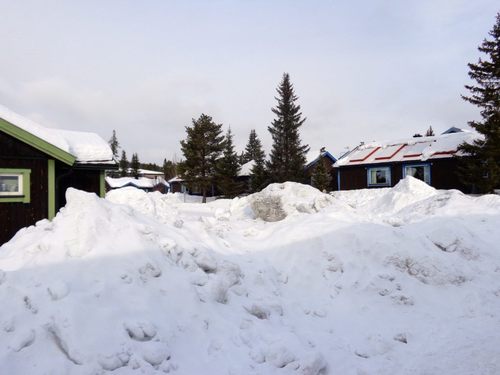 Deep Snow