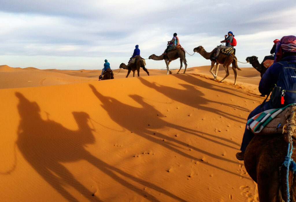 Camels, places to visit in Morocco