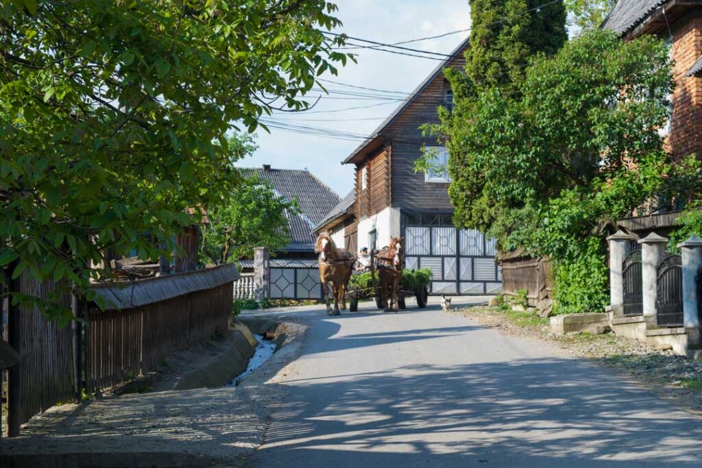 Horse and Cart, Maramures Romania