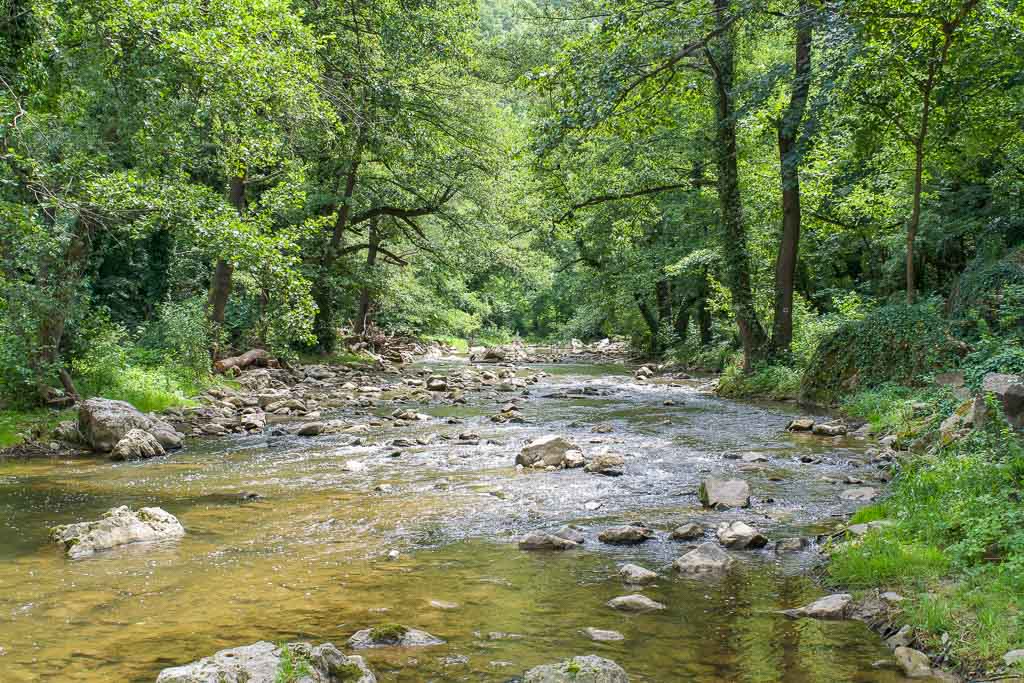 Dryanovska River Bulgaria