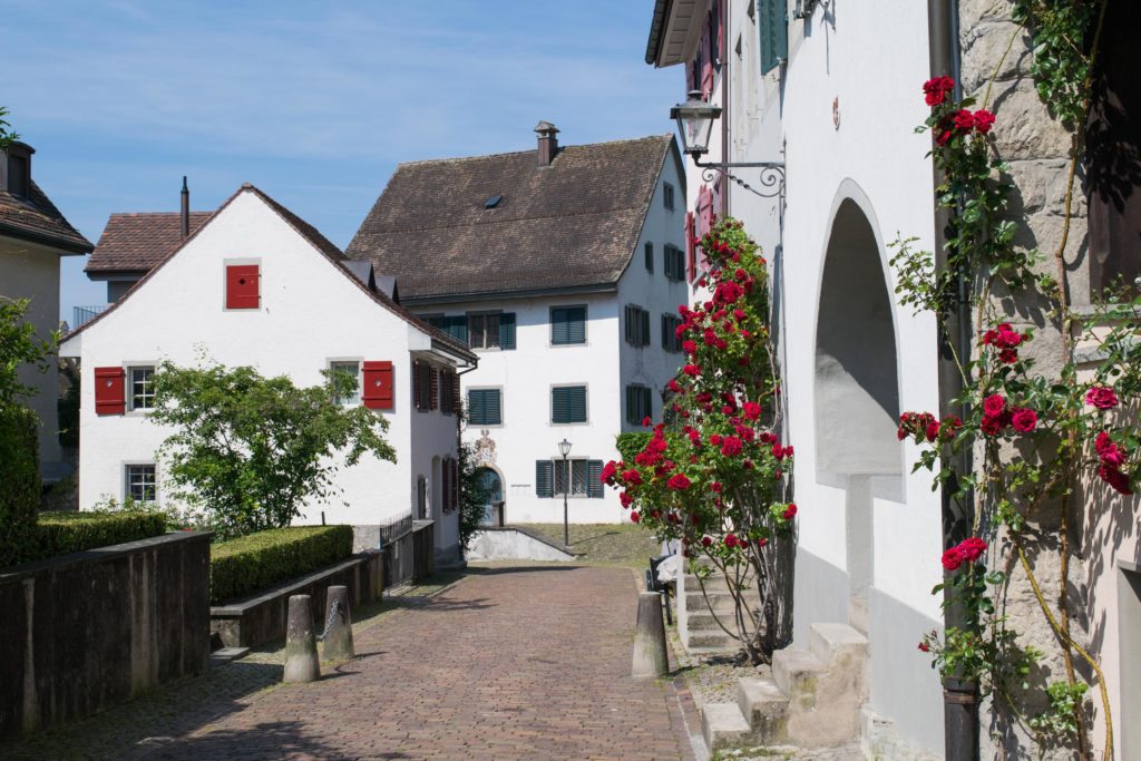 Rapperswil Roses, Switzerland