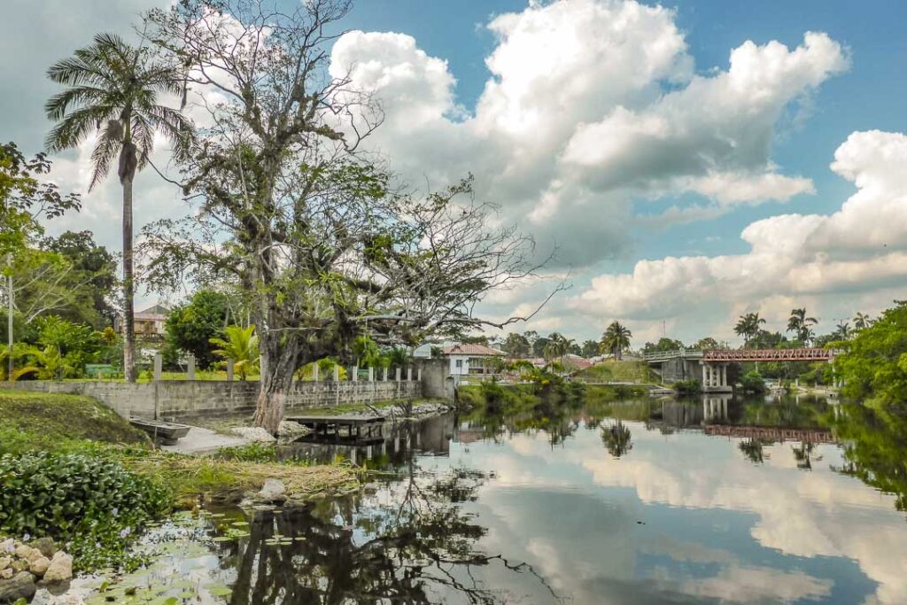 New River Orange Walk
