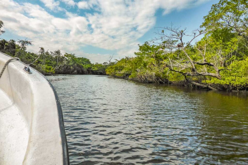 Lamanai Speedboat River Tour