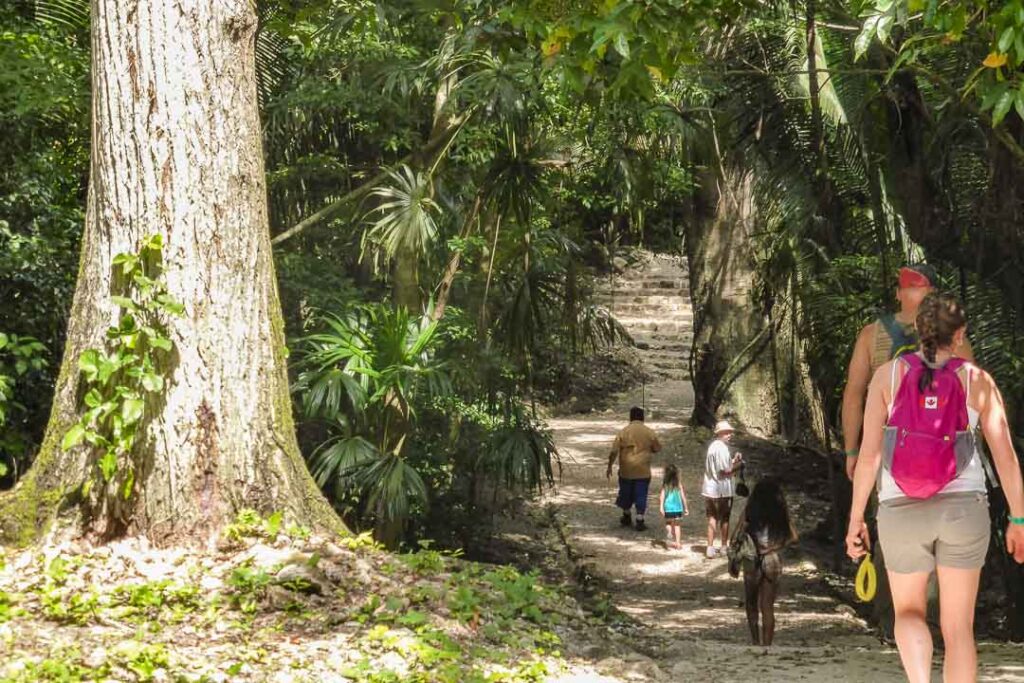 Lamanai Jungle Trail