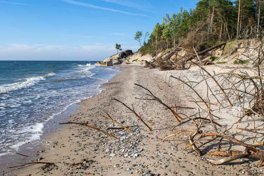 Beach Branches, Karosta Latvia