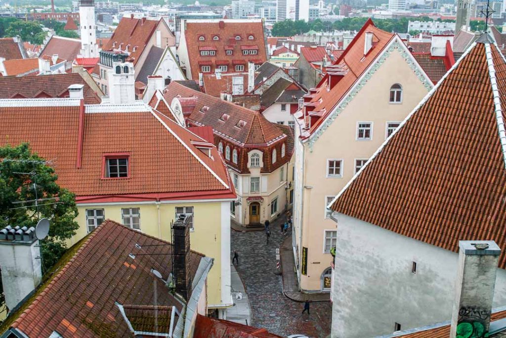 Rooftops of Tallinn