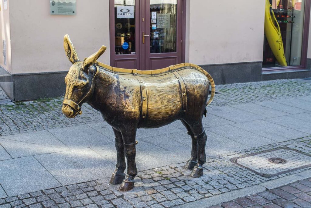 Golden Donkey Sights in Torun