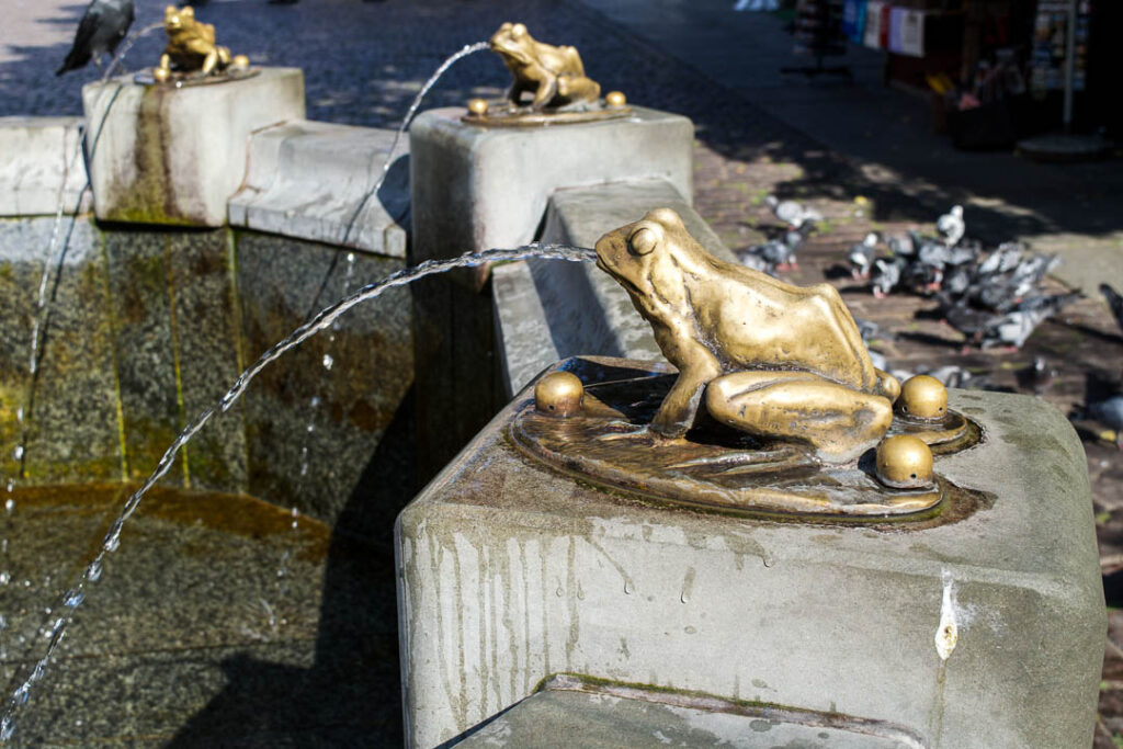 Frog Fountain Torun