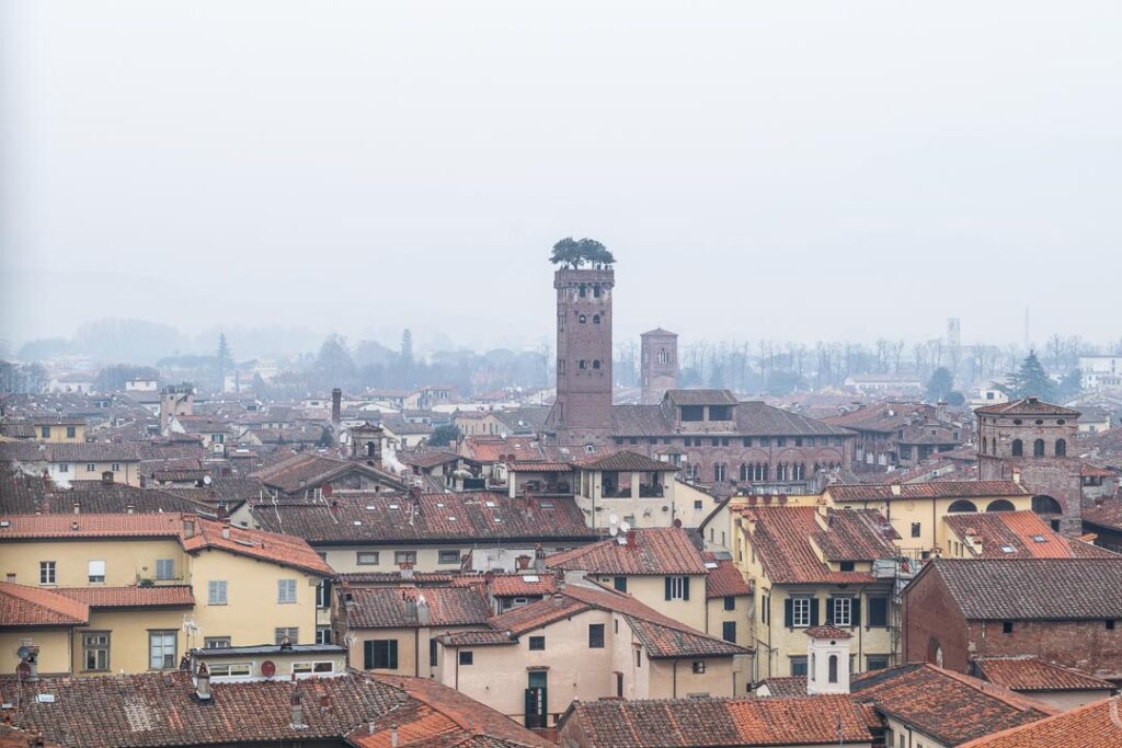Torre Guinigi, Lucca