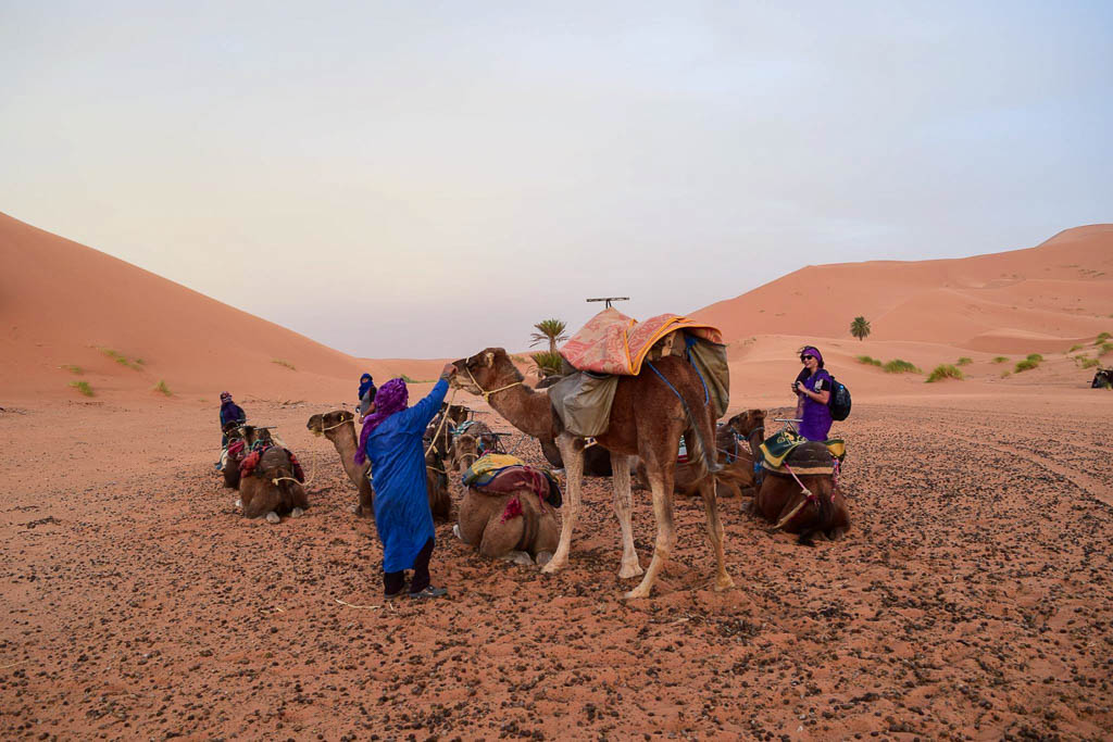 Sahara Desert trips in Morocco