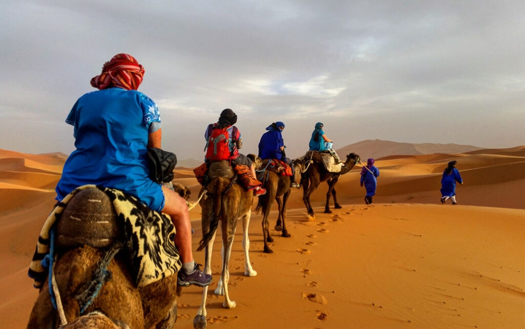Sahara Desert Camel Ride