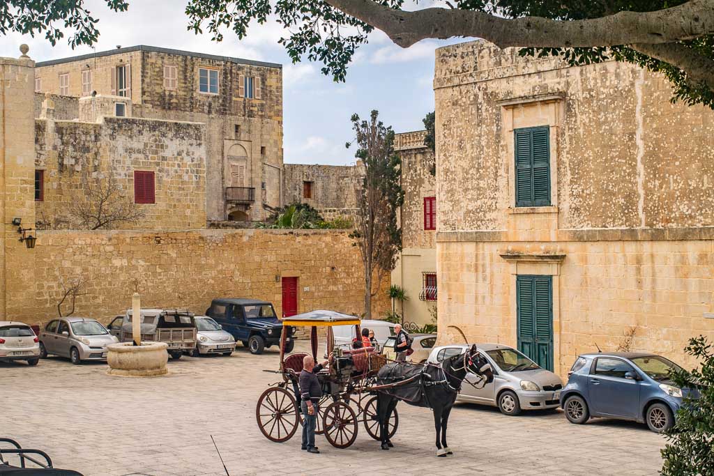 Traditional horse cart Malta