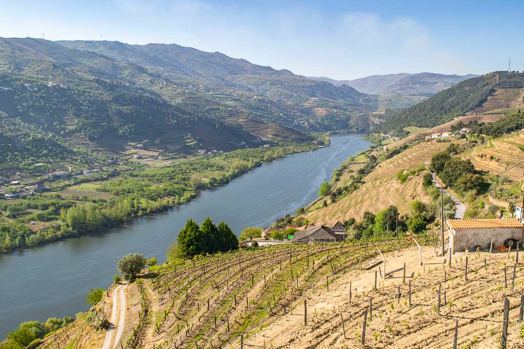 Douro Valley day trip from Porto
