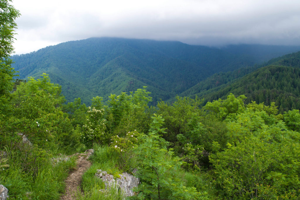 Carpathian Mountains, Romania Trip