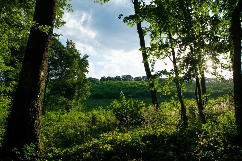 Fruska Gora, Hiking Fruska Gora
