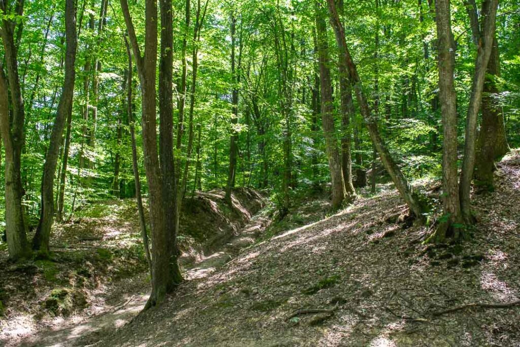 Fruska Gora Serbia Nature