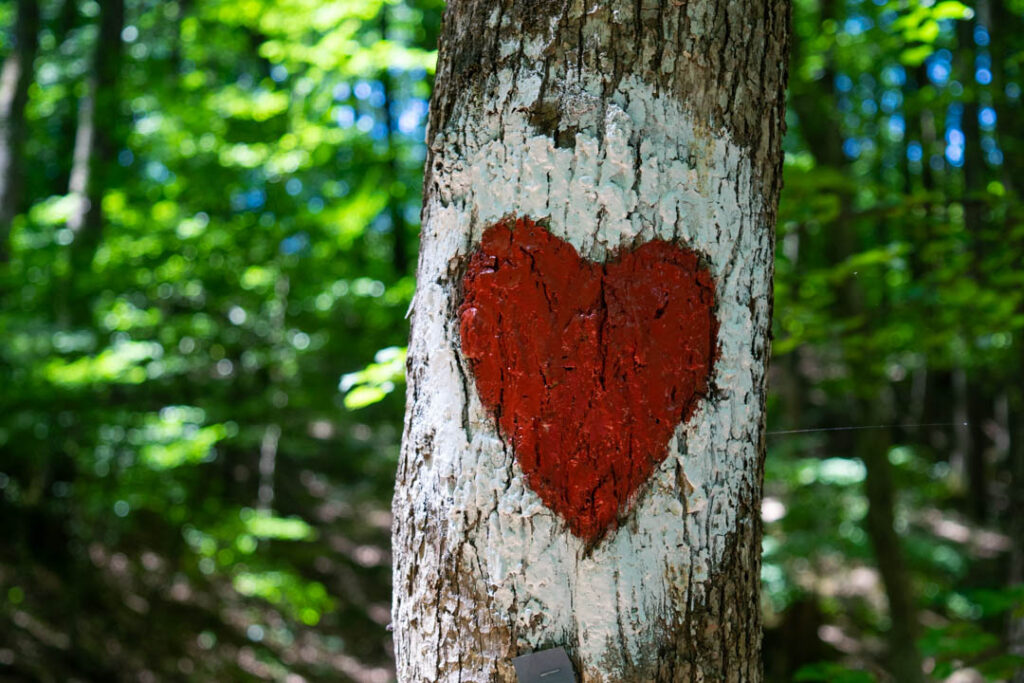 Fruska Gora Trail Marker