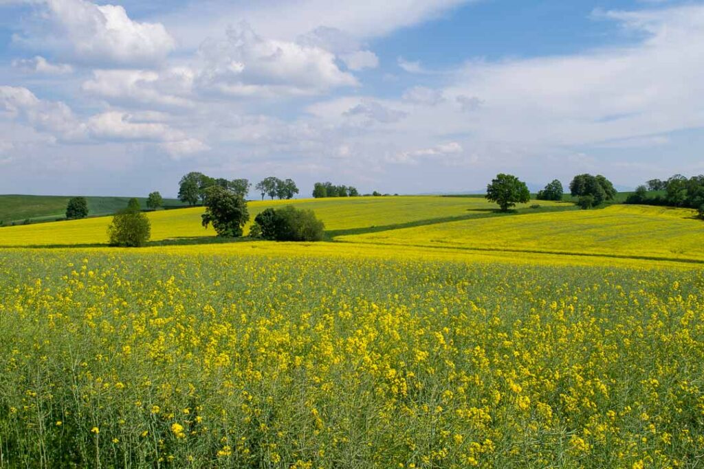 Lower Silesia countryside