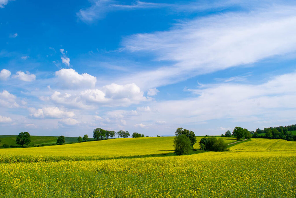 Lower Silesia landscape