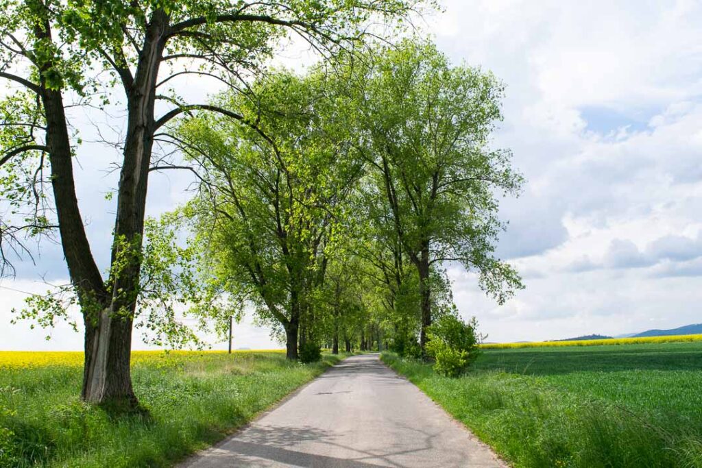 Klodzko Valley Road