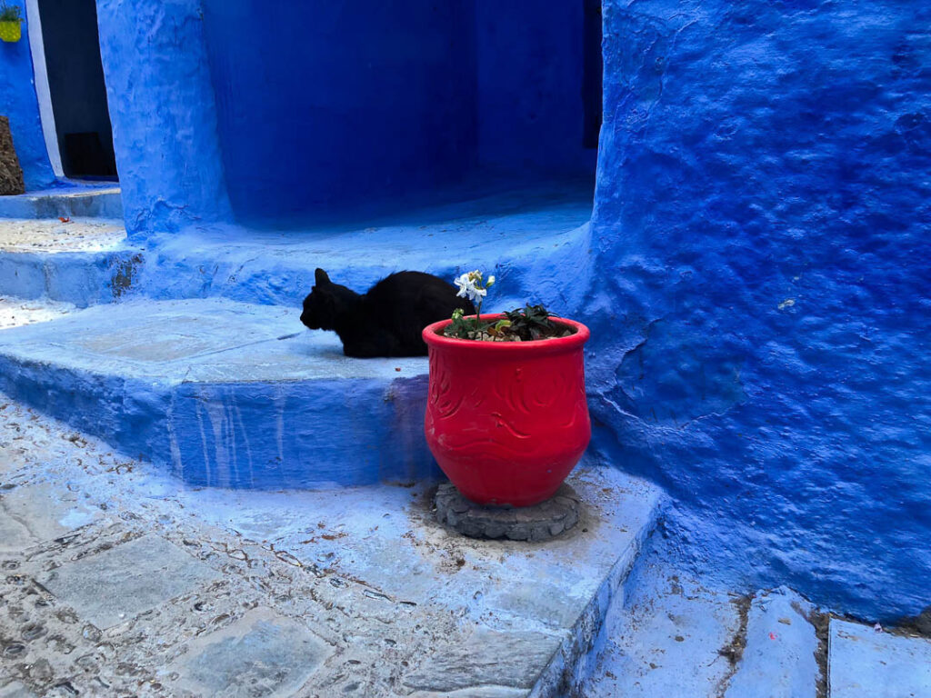 Close Up, Travel Photography