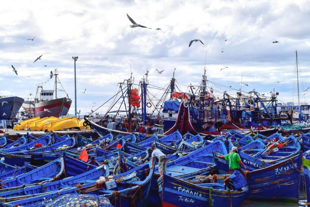 Essaouira Fisherman, Morocco Photos