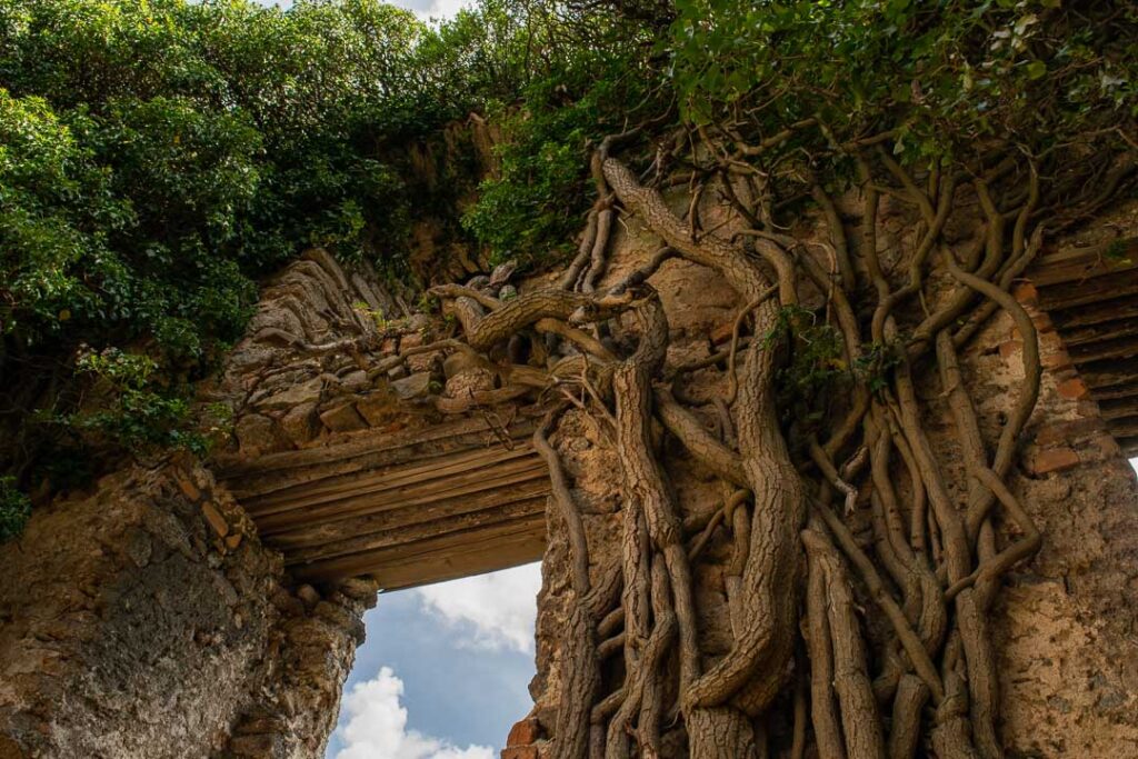 Chojnik Castle Ruins, Places to Visit in Jelenia Gora