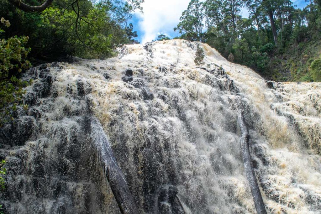 Things to Do in North West Tasmania