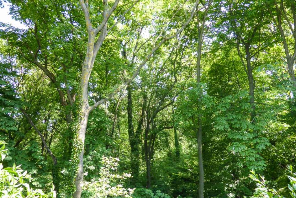 Vienna Woods, Vienna's Outskirts