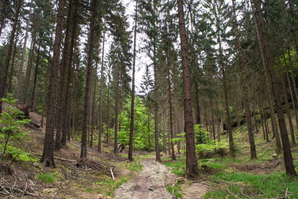 Hiking Bohemian Switzerland Czechia