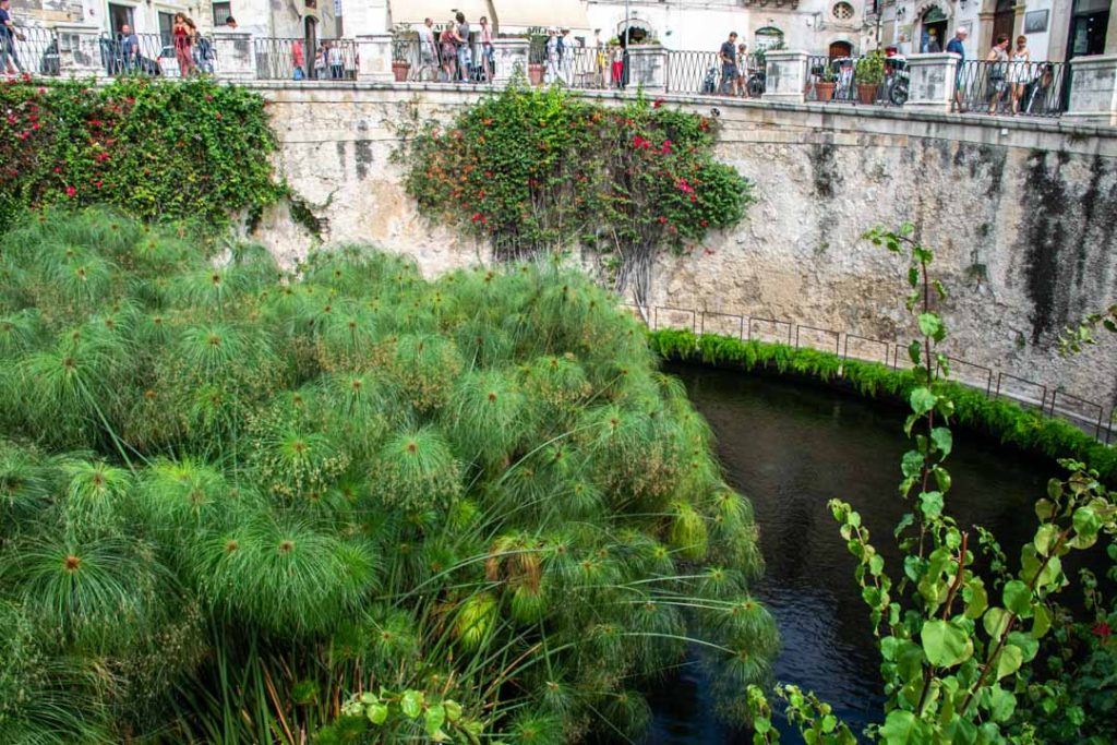 Arethusa Spring, Syracuse Italy