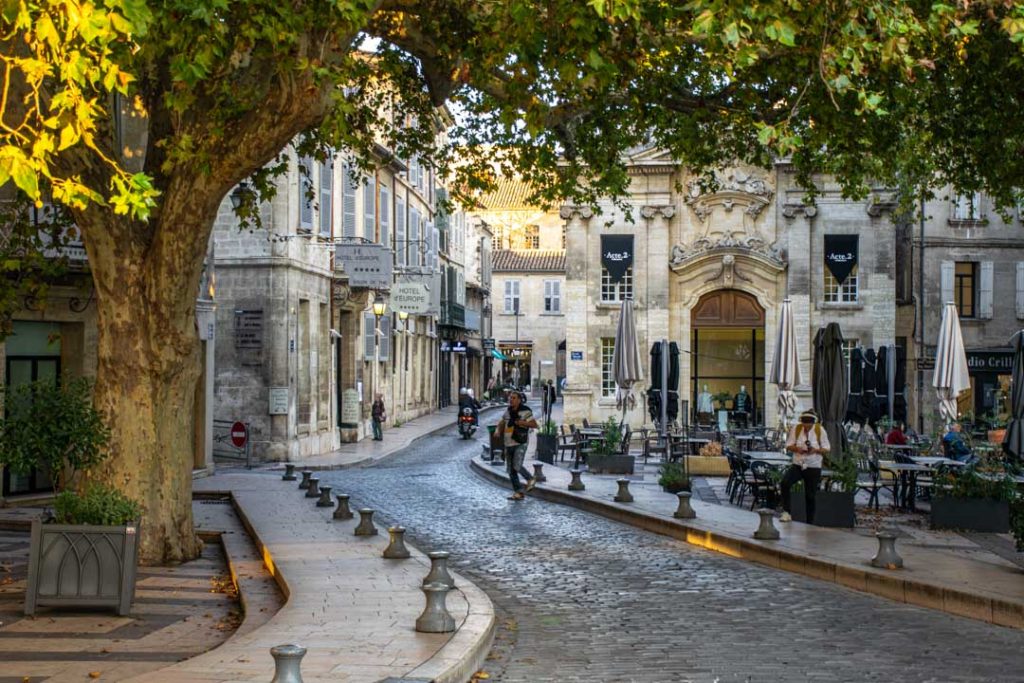 things to do in Avignon France