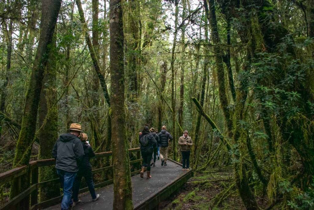 Gordon River Cruise, Heritage Landing