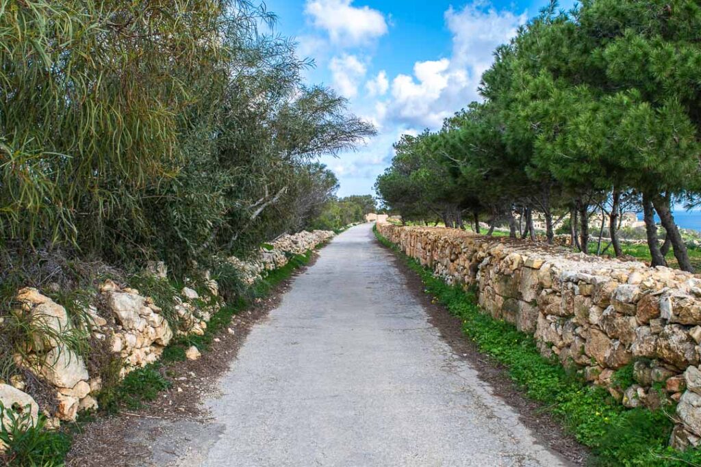 Malta walking