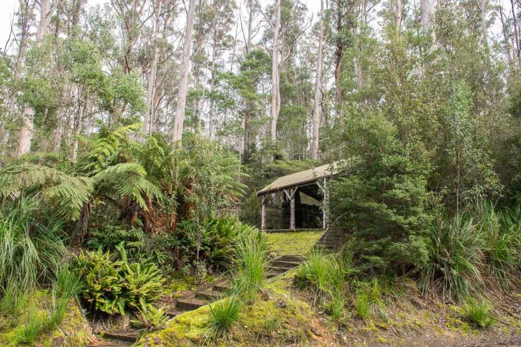 Mavista Nature Walk