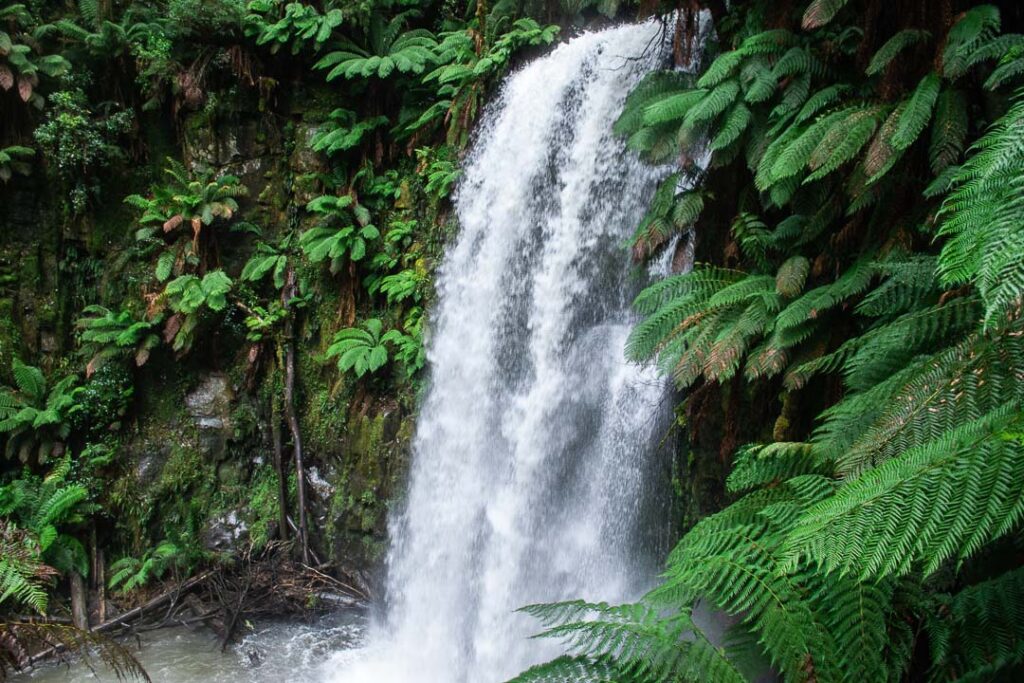 Beauchamp Falls Victoria