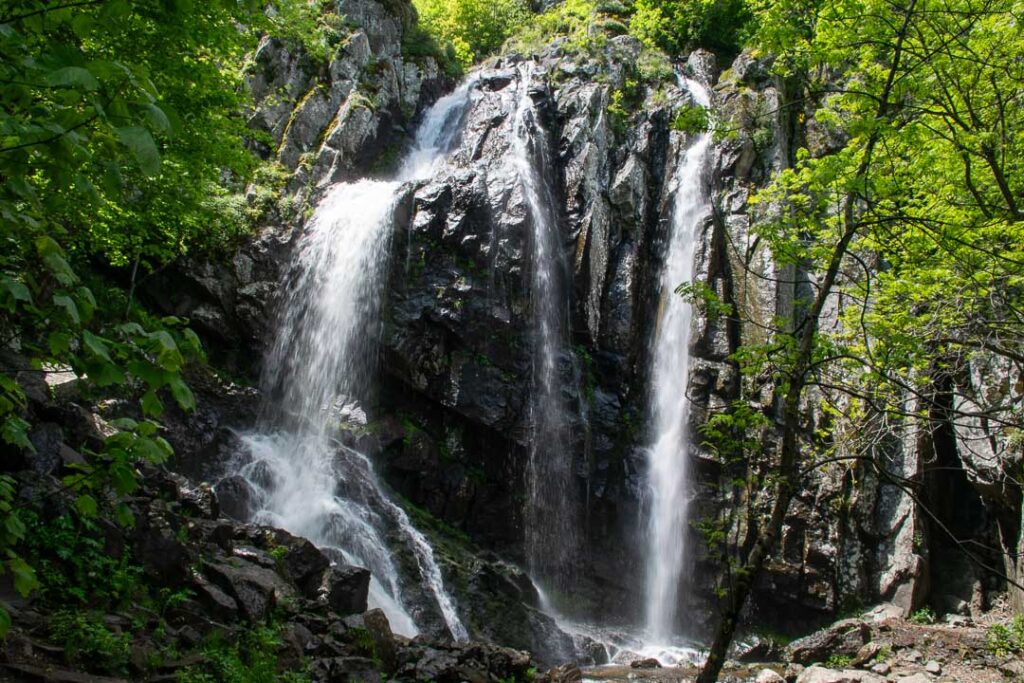 Boyana Waterfall