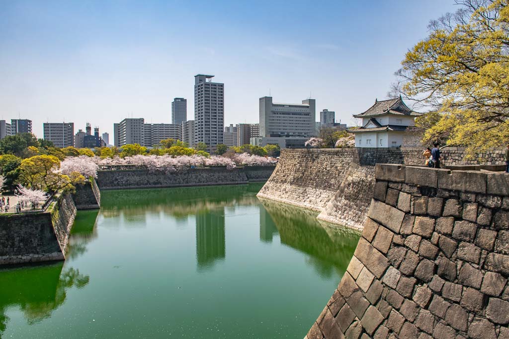 cherry blossom in Osaka