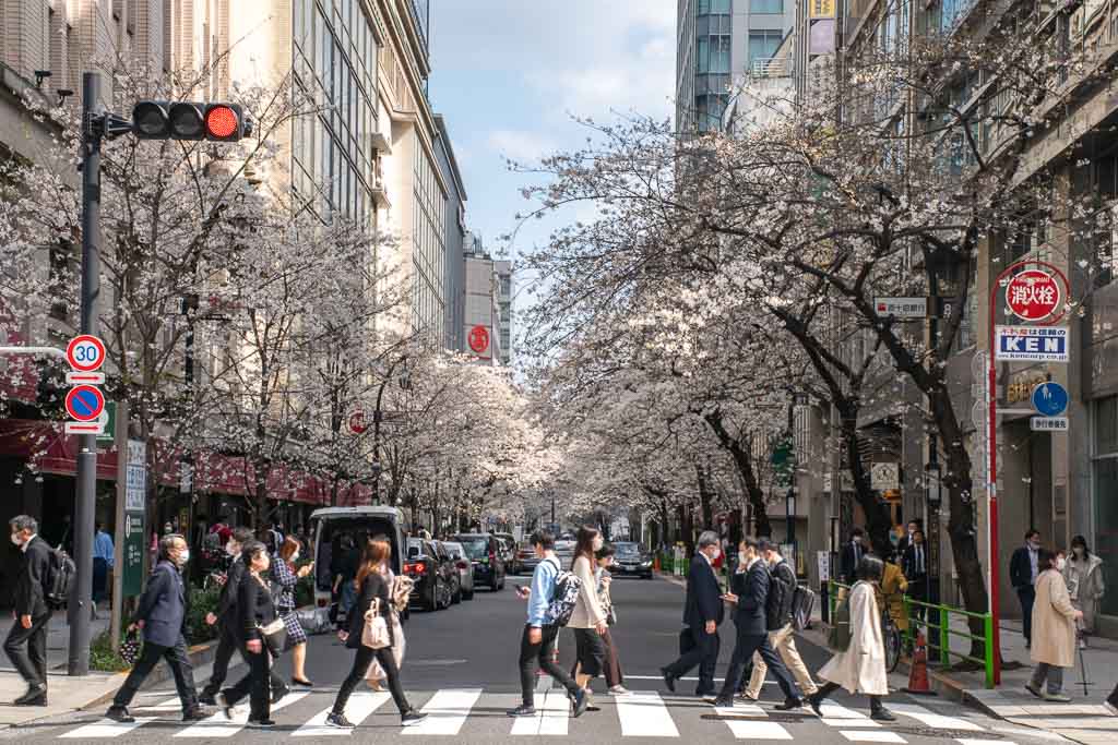 Nihombashi Tokyo Spring