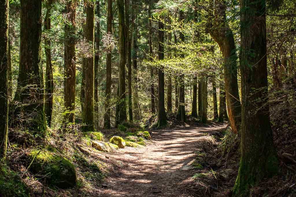 Magome to Tsumago Hike