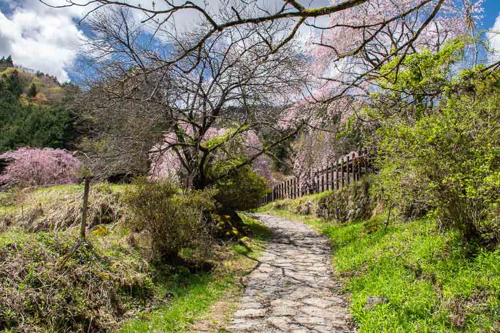 Tabeta Tea House trail