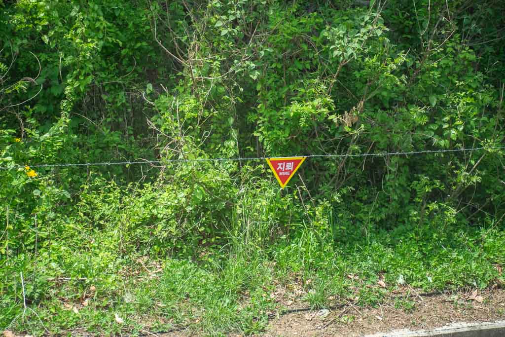 Mines along the Tour of the Korean DMZ