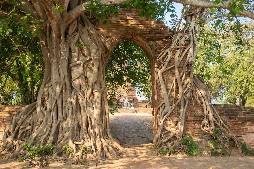 Portal of Time, things to see in Ayutthaya