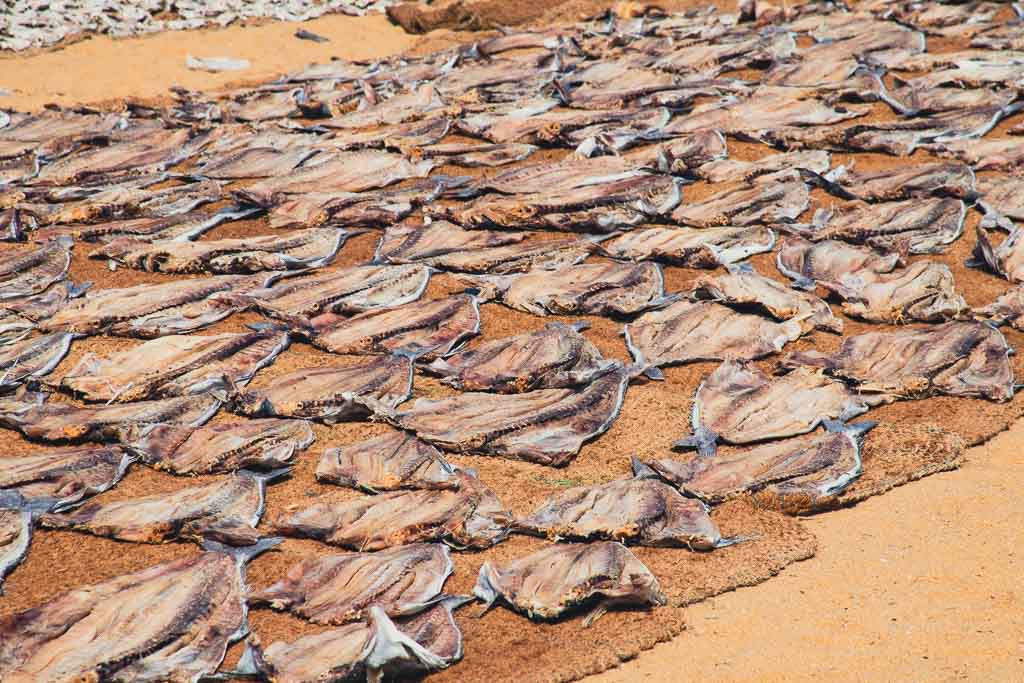 Negombo Fish Market