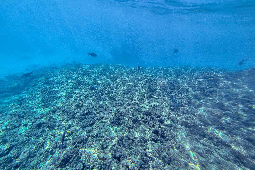 Oman snorkeling tour from Muscat