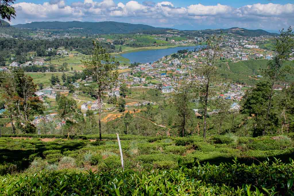 Why Nuwara Eliya is worth visiting in Sri Lanka