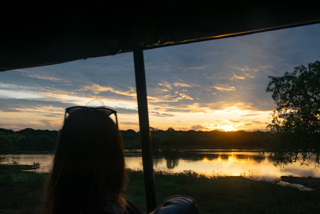 Yala Safari Tours